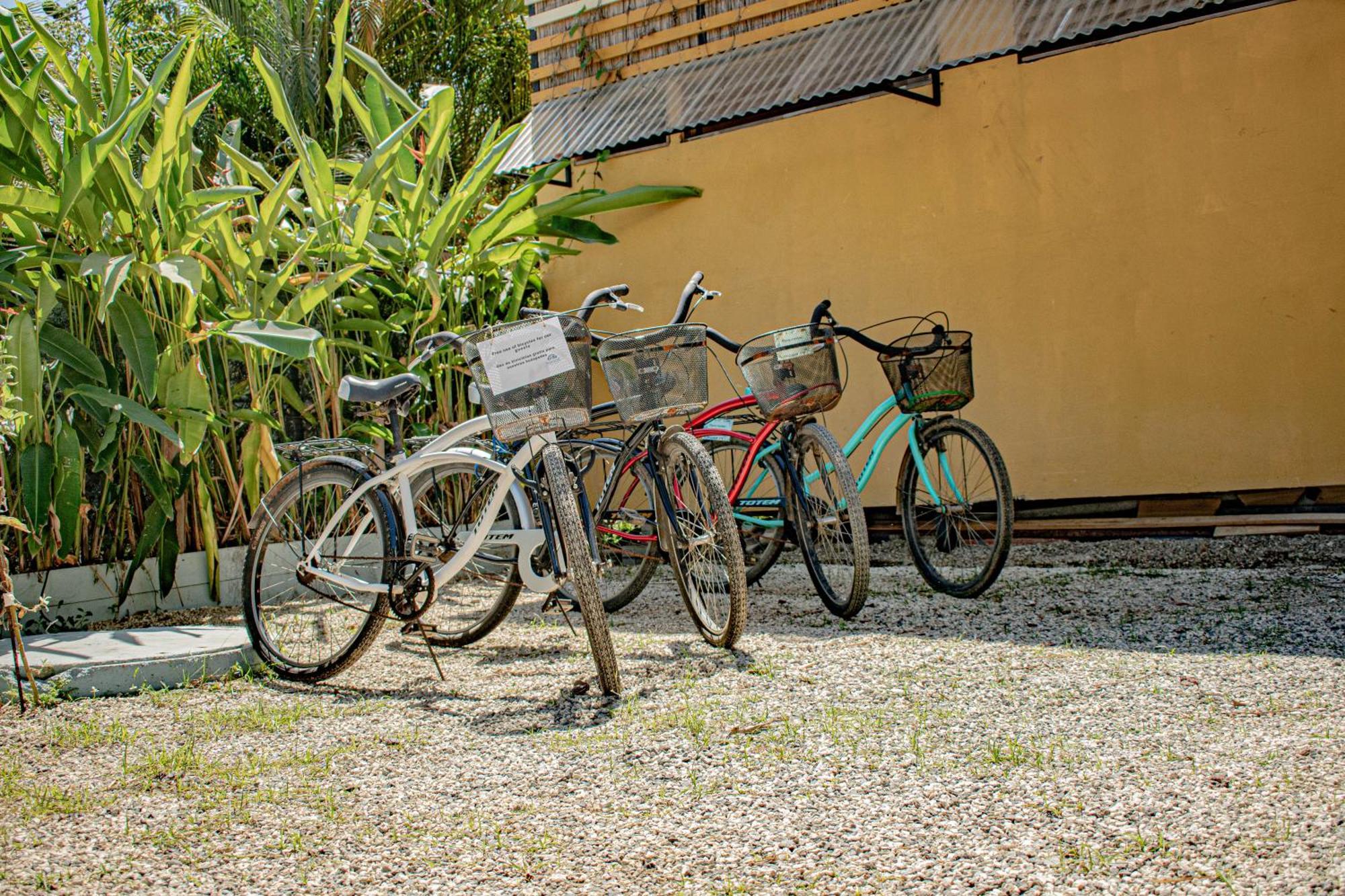 Habitat Surf Glamp Playa Santa Teresa (Puntarenas) Exterior foto